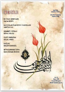 İrşad Dergisi 2013 Ocak-Şubat